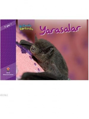 Bir Zamanlar Korkardım - Yarasalar