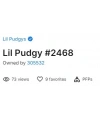 Lil Pudgy #2468