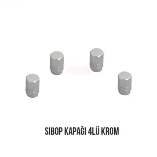 Carub Sibop Kapağı 4Lü Krom Gri BR5531116