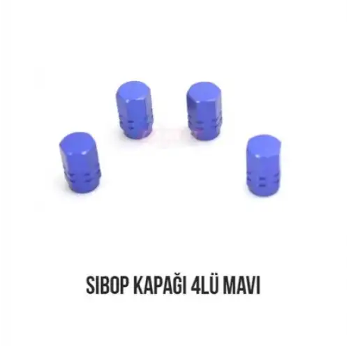 Carub Sibop Kapağı 4Lü Mavi BR5531117