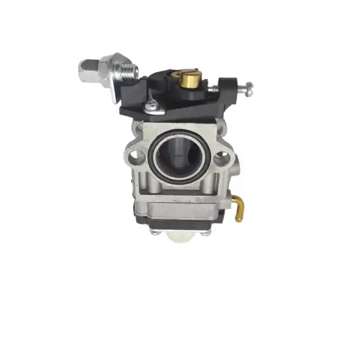 Çin Motorlu Tırpan Karbüratörü