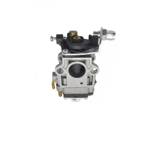 Çin Motorlu Tırpan Karbüratörü