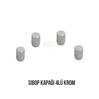 Carub Sibop Kapağı 4Lü Krom Gri BR5531116