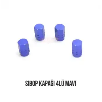 Carub Sibop Kapağı 4Lü Mavi BR5531117