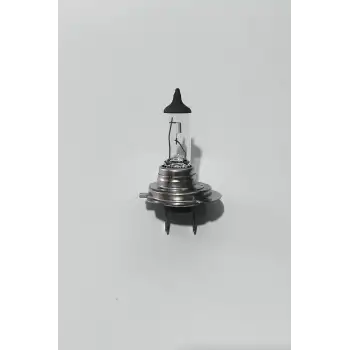 H7 12v 55w Halojen Ampul