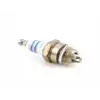Bosch Ws7F Motorlu Tıpan Testere Buji
