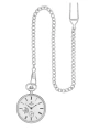 Hislon Mens Cep Saati PT100