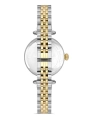 Momentus Womens Timeless Charm SS340S-02TG