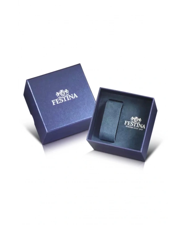 Festına F20445/1 Multıfunctıon Erkek Kol Saati