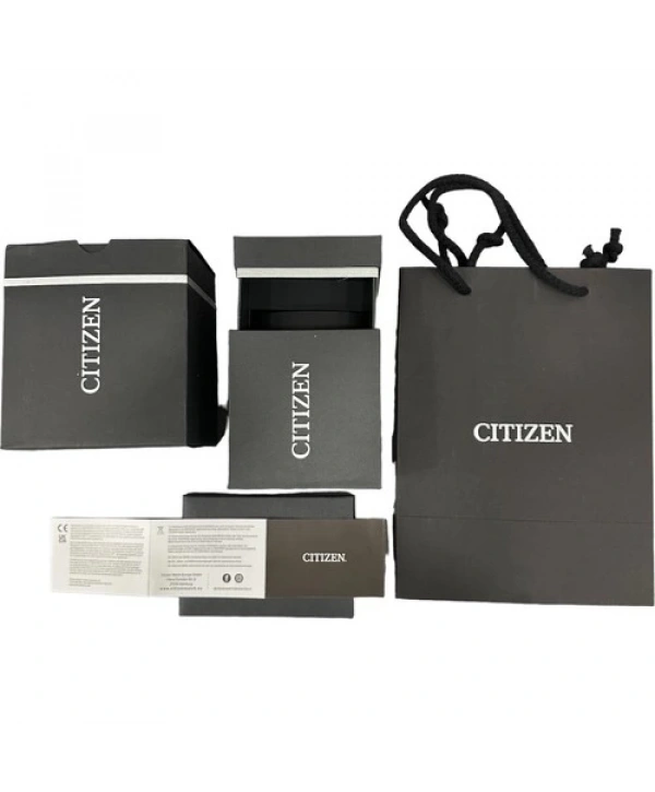 Citizen Classic FE1240-81L