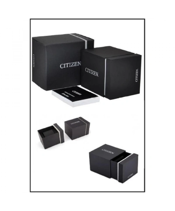 Citizen Classic EM0506-77A