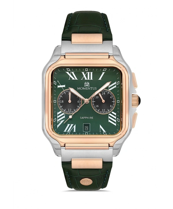 Momentus Mens Time Master TM348T-15YR