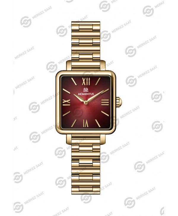 Momentus Womens Classy CW312G-14SG
