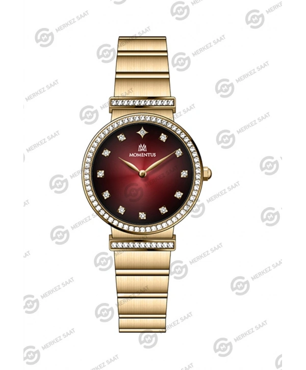 Momentus Womens Shiny SS396G-14SG