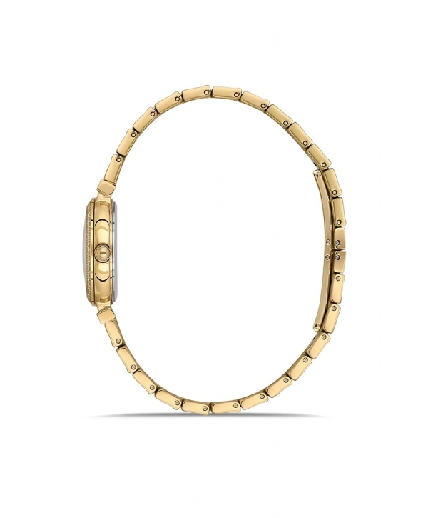 Momentus Womens Shiny SS396G-14SG
