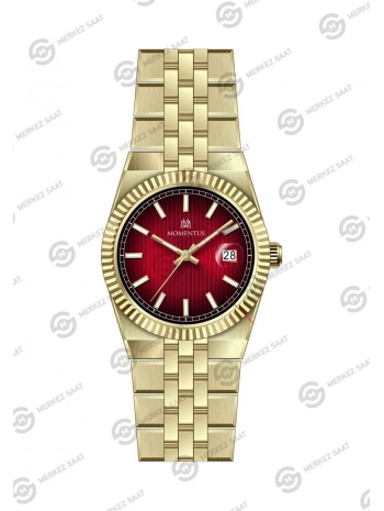 Momentus Womens Shiny Star CS264G-14SG