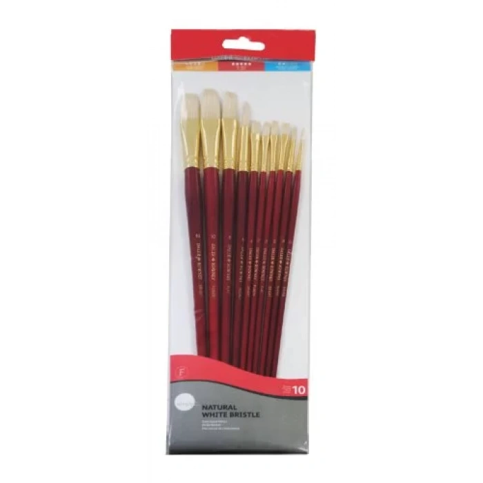 WHITE BRISTLE LONG HANDLED 10PC