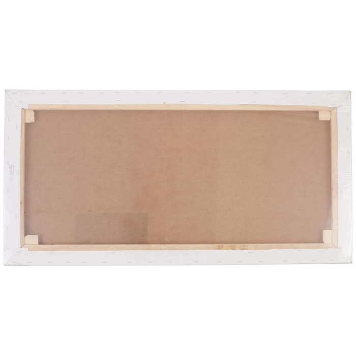 PONART 50X100CM PROFESYONEL PLUS KALIN TUVAL PTPPK-50x100