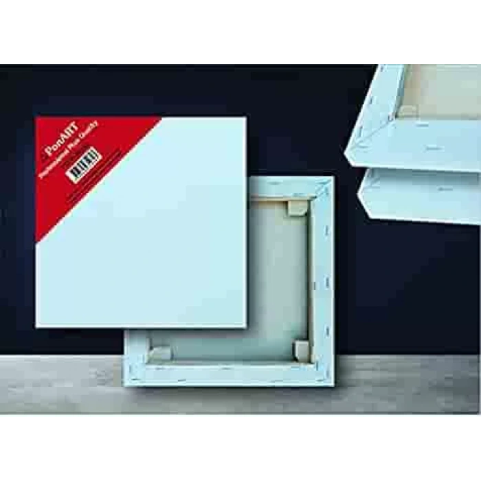 PONART 70X100CM PROFESYONEL PLUS KALIN TUVAL PTPPK-70x100