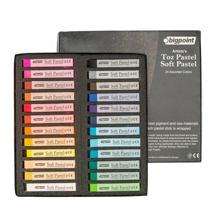 BİGPOİNT ARTİSTSS TOZ(SOFT) PASTEL BOYA 24 RENK BPP902