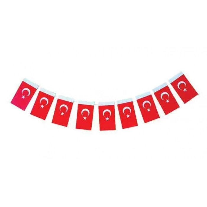 VATAN BÜYÜK İPLİ BAYRAK 40LI 11-20Cm. 809-810