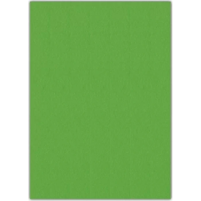 BİGPOİNT KEÇE 50X70CM 2MM YEŞİL 10LU PAKET BP735-67