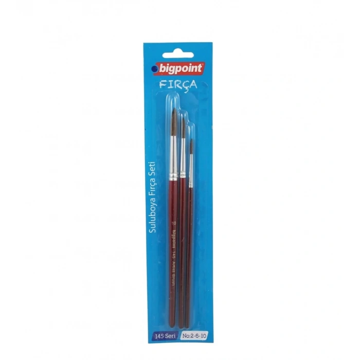 BİGPOİNT 145 SERİSİ YUVARLAK FIRÇA SETİ 2-6-10 3LÜ BLİSTER BPFS145-02