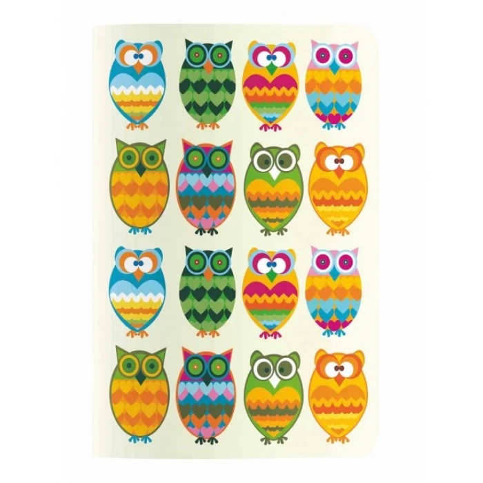 DEFFTER TERZI DIKIS SURPRISED QWLS 18,5X25