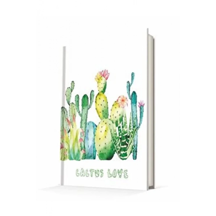 DEFFTER CACTUS / CACTUS LOVE - 2 14*20 SERT KAPAK 96