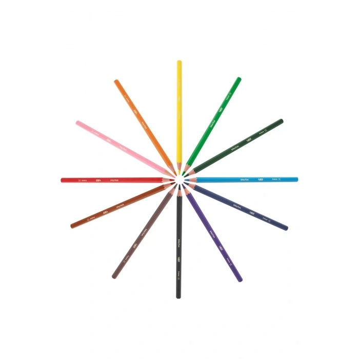 BİC EVOLUTION KURU BOYA KALEMİ 36LI METAL TÜP 968491