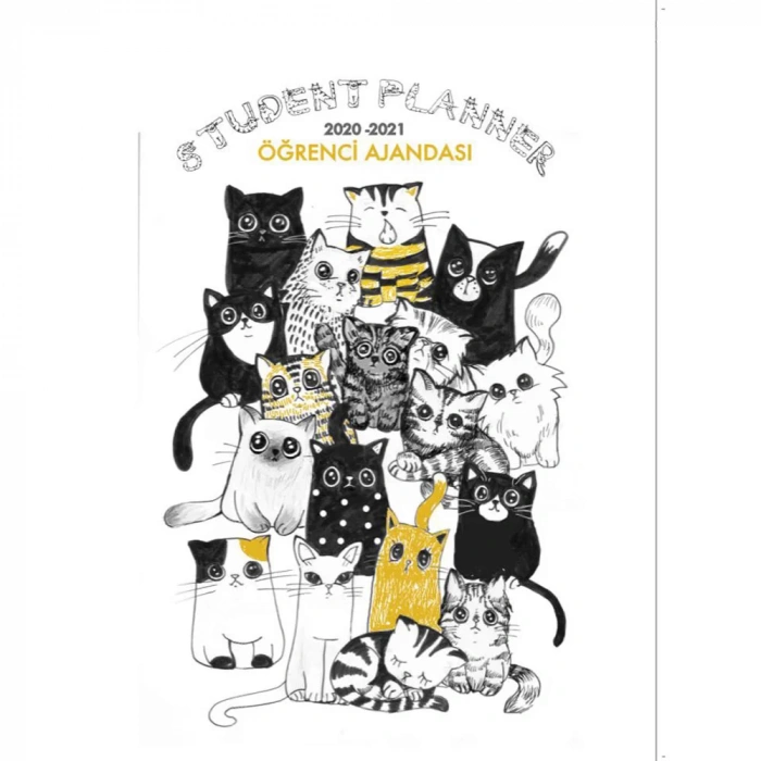 AKADEMİ ÇOCUK ÖĞRENCİ AJANDASI STREET CATS 2020 - 2021