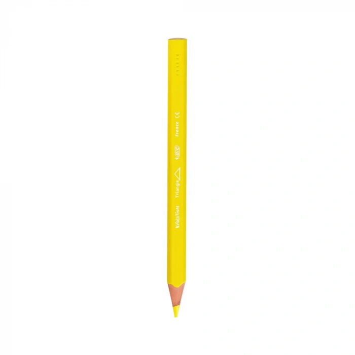 BİC EVOLUTION ÜÇGEN JUMBO BOYA KALEMİ 12 RENK 8297356