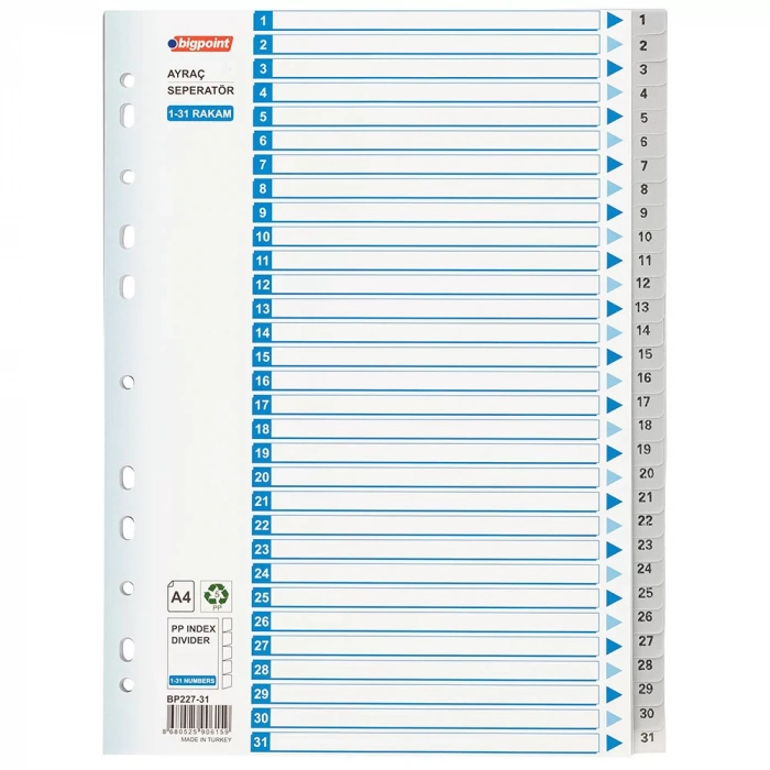 BİGPOİNT PP SEPERATÖR 1-31 RAKAMLI BP227-31