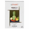 PONART DRAWİNG&PAİNTİNG BLOK 130GR 35X50CM 15YAPRAK PHM-10-121