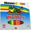 NOVA COLOR MUM BOYA TRİMAX ÜÇGEN 12Lİ NC-2117
