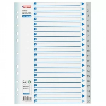 BİGPOİNT PP SEPERATÖR 1-20 RAKAMLI BP227-20