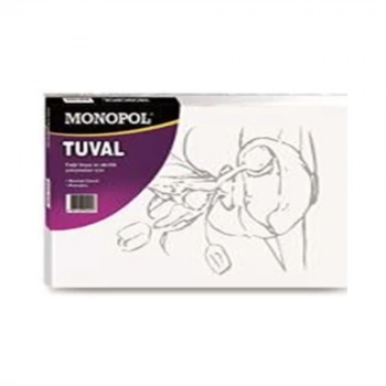 MONOPOL 35X50 DESENLİ TUVAL 1712