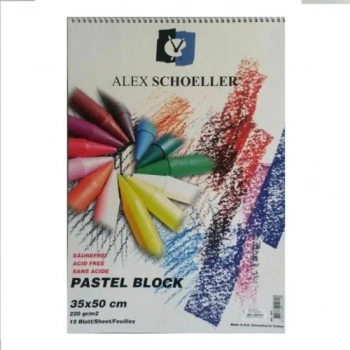 ALEX ARTIST PASTEL FON BLOK 35X50 220 Gr. ALX-851