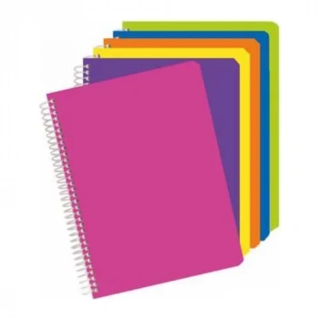 ALEX DEFTER PP KAPAK SPİRALLİ A4 60/1 ALX-689