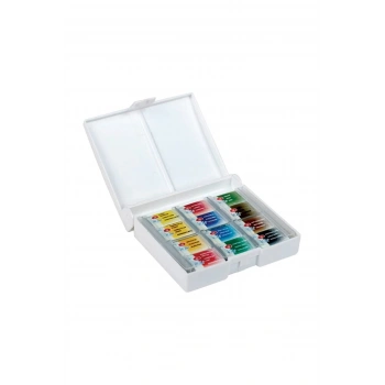 ST. PETERSBURG WHİTE NİGTHS WATERCOLOUR SET 12 R