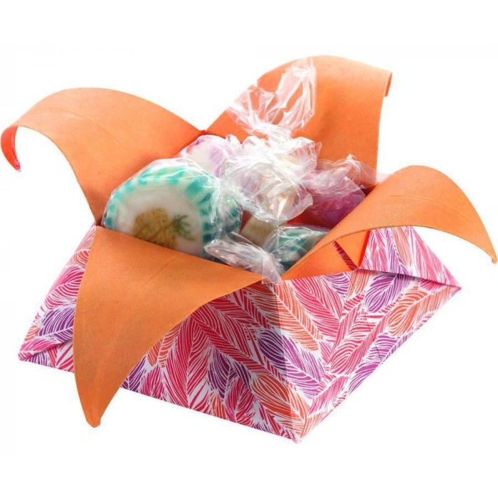 FOLİA ORİGAMİ KAĞIDI 15X15 VAHŞİ HAYAT 50 TABAKA FO-495-1515