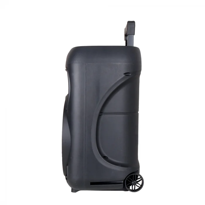 GD-1203 Dijital LED Göstergeli FM Radyolu Mikrofonlu RGB TWS 12 inç Stereo Bass Kablosuz Karaoke Hoparlör