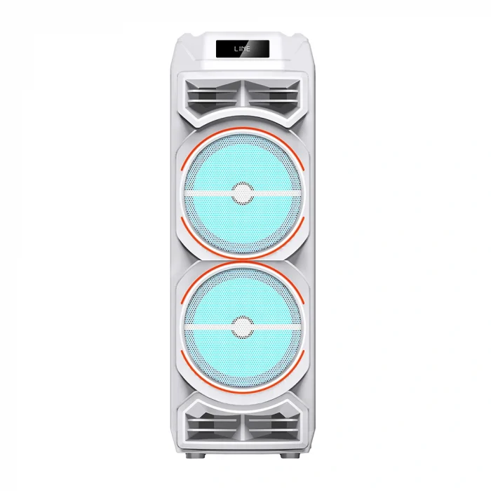 GD-2828 Dijital LED Göstergeli Mikrofonlu RGB TWS Çift 8 inç Stereo Bass Kablosuz Karaoke Hoparlör