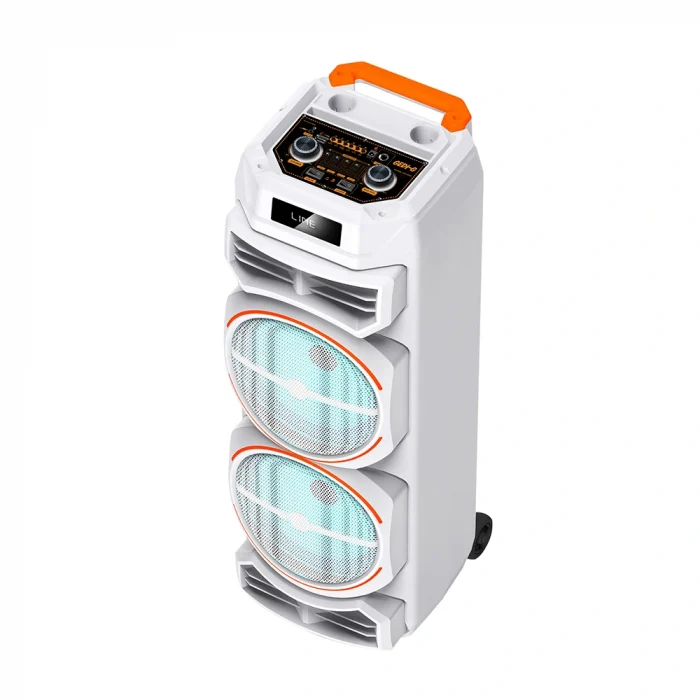 GD-2828 Dijital LED Göstergeli Mikrofonlu RGB TWS Çift 8 inç Stereo Bass Kablosuz Karaoke Hoparlör