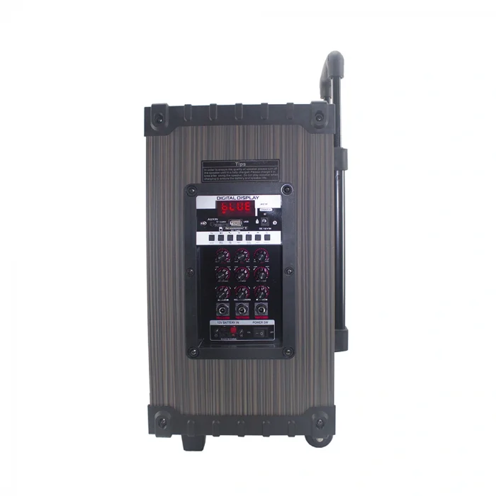 LT-908 Dijital LED Göstergeli FM Radyolu Mikrofonlu TWS 8 inç Stereo Bass Kablosuz Karaoke Hoparlör