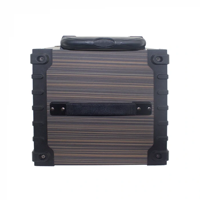 LT-908 Dijital LED Göstergeli FM Radyolu Mikrofonlu TWS 8 inç Stereo Bass Kablosuz Karaoke Hoparlör