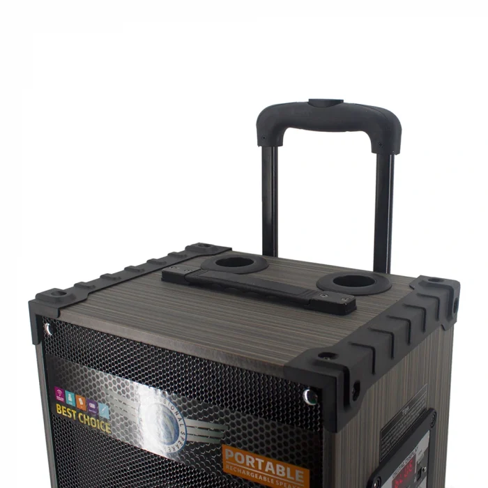 LT-910 Dijital LED Göstergeli FM Radyolu Mikrofonlu Gitar Girişli TWS 10 inç Stereo Bass Kablosuz Karaoke Hoparlör