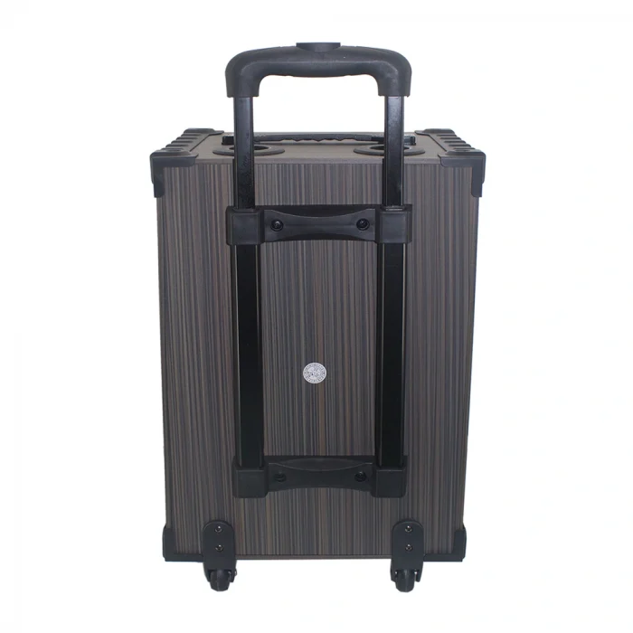 LT-910 Dijital LED Göstergeli FM Radyolu Mikrofonlu Gitar Girişli TWS 10 inç Stereo Bass Kablosuz Karaoke Hoparlör