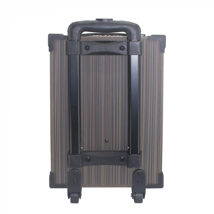 LT-910 Dijital LED Göstergeli FM Radyolu Mikrofonlu Gitar Girişli TWS 10 inç Stereo Bass Kablosuz Karaoke Hoparlör