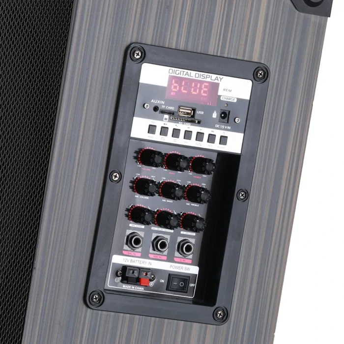 LT-910 Dijital LED Göstergeli FM Radyolu Mikrofonlu Gitar Girişli TWS 10 inç Stereo Bass Kablosuz Karaoke Hoparlör